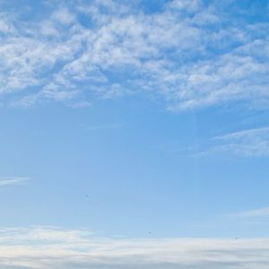 Meet your Posher, Shauna